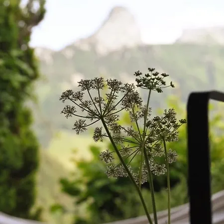 Le 28 Cocon Et Domek alpejski Montreux